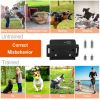 3280 FT Dog Training Collar IP67 Waterproof Pet Beep Vibration Electric Shock Collar