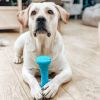 Dog Fetch Toy Outdoor Barbell Dog Toy for Small Medium and Large Breed Dogs Floating Dog Toy Blue Color