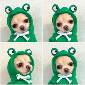 Dog Autumn And Winter Clothing Small And Medium Dog Love Two Legged Cat Cute Pet Clothing (Option: 5 Style-2XL)